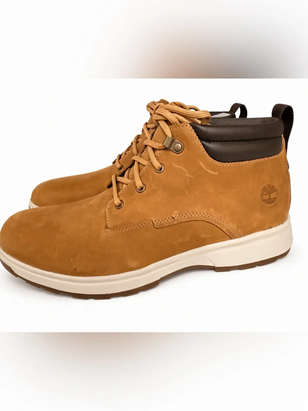 Timberland Atwells Ave Waterproof Chukka Boots Men’s 10 Wheat + Box